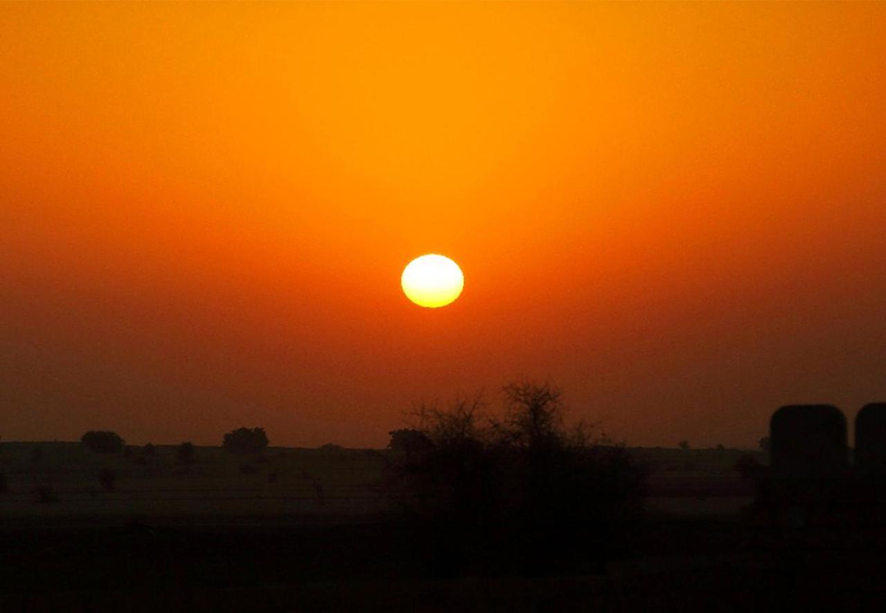 Sunrise Desert Resort With Swimming Pool Jaisalmer Exterior photo